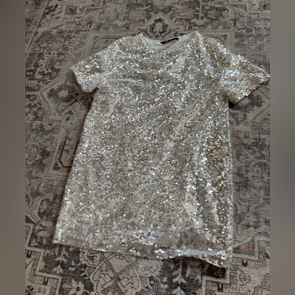 Zara Sequin Dress, Size Small